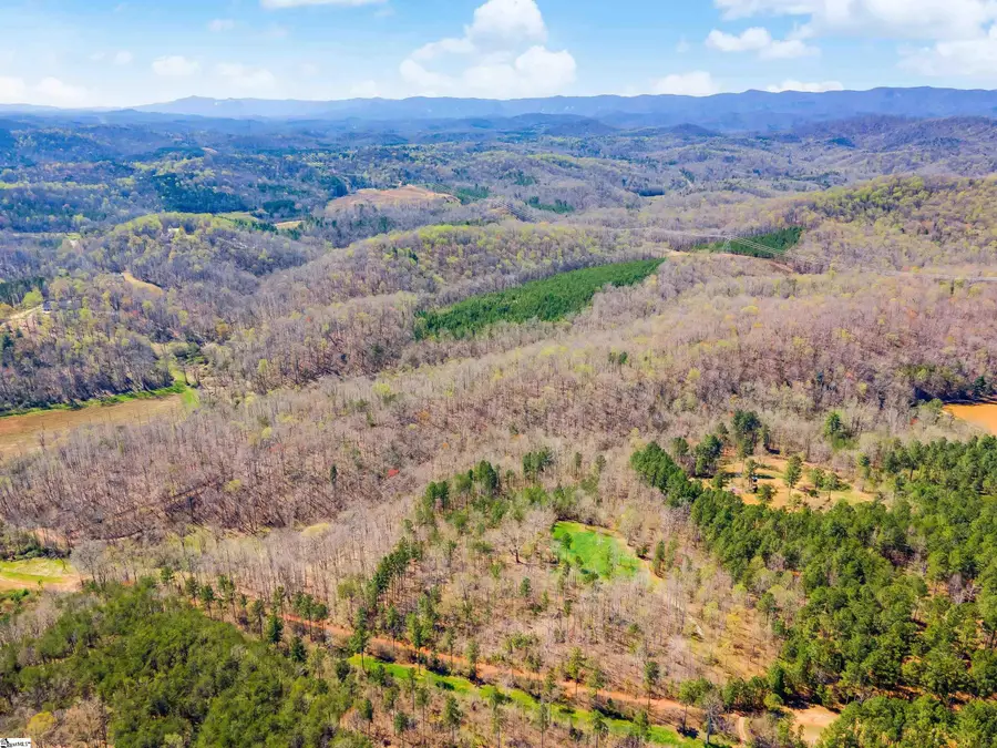 23B Big Jake Pass, Travelers Rest, SC 29690 - Image #3