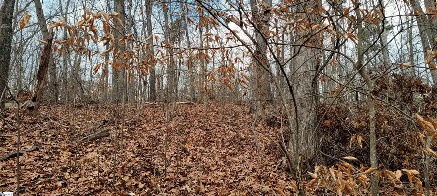 314 E Richfield Drive, Westminster, SC 29693 - Image #2