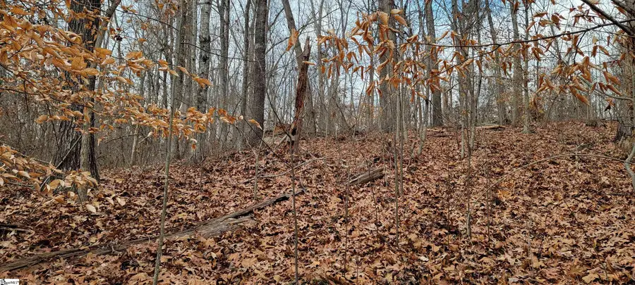 314 E Richfield Drive, Westminster, SC 29693 - Image #3