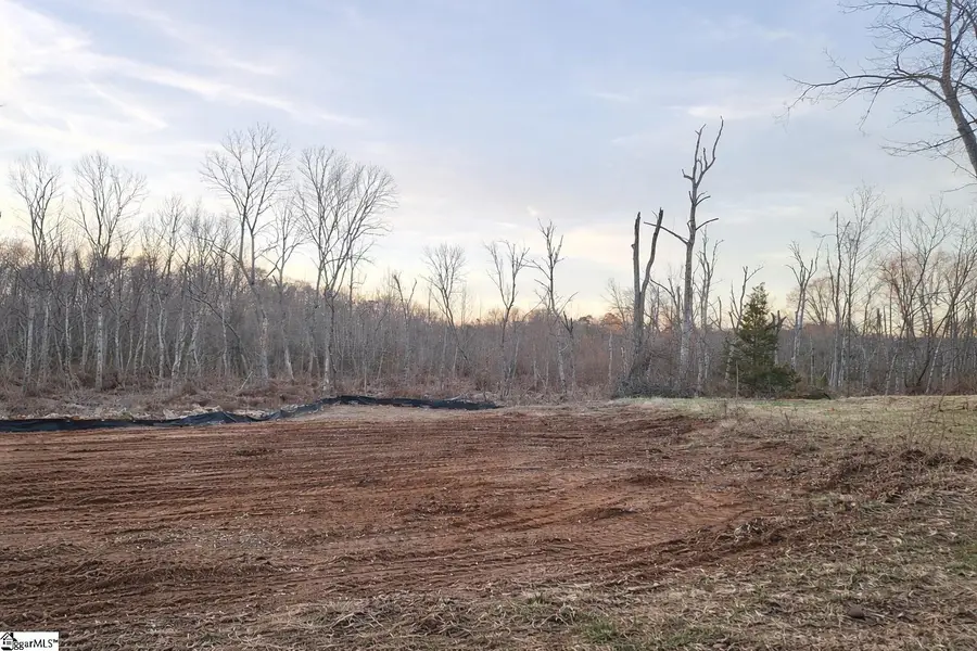 224 Enoree Circle, Greer, SC 29650 - Image #3