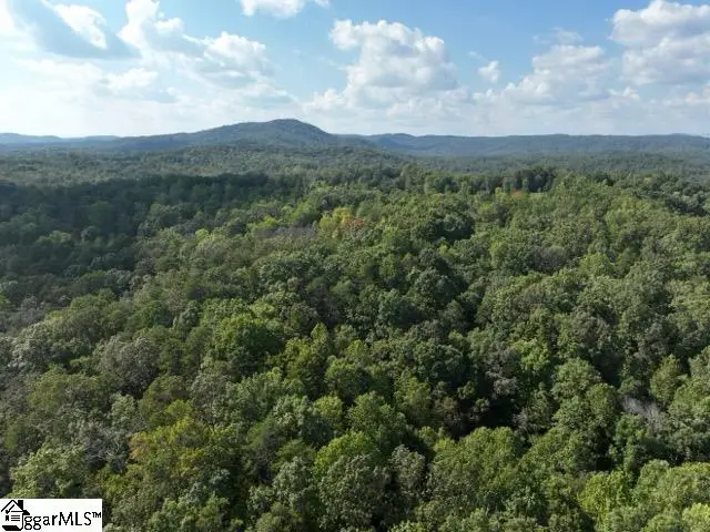 TR 3 Cobb Bridge Road, Westminster, SC 29693 - #2