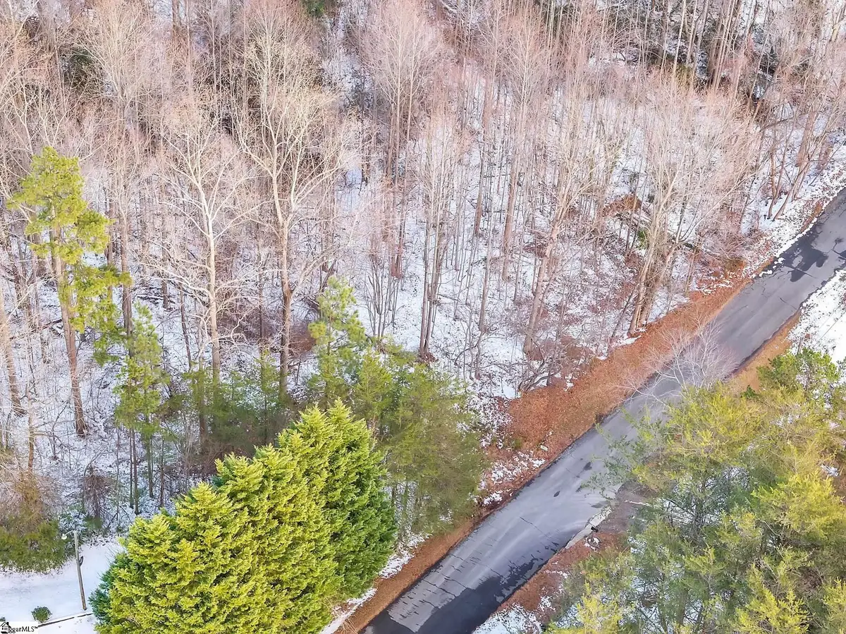 000 Jason Road, Landrum, SC 29356 - #1