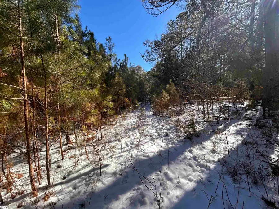 00 Ranch Road, Laurens, SC 29360 - #2