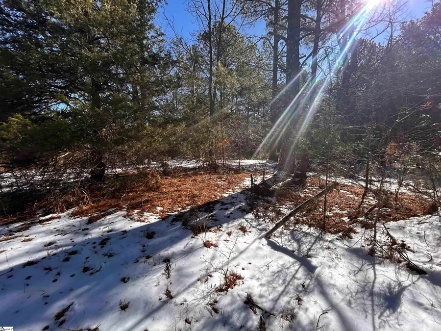 00 Ranch Road, Laurens, SC 29360 - #3