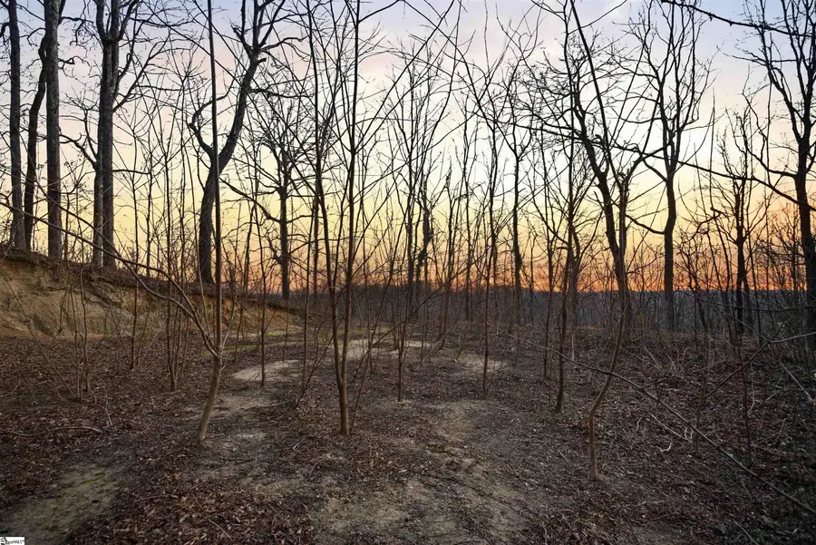 12 Hideaway Hill Way #Lot, Landrum, SC 29356 - #3