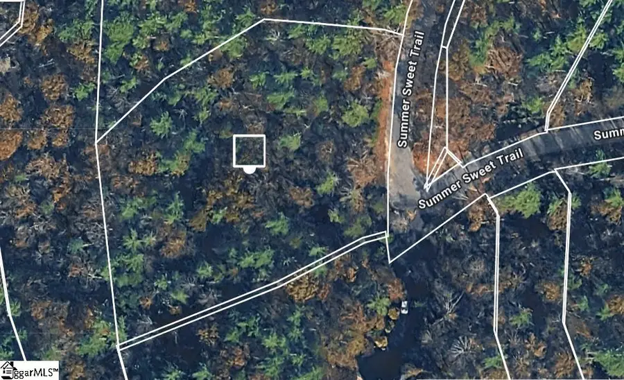 121 Summer Sweet Trail, Sunset, SC 29685 - #3