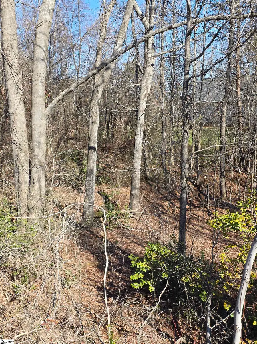 00 Stallings Road, Taylors, SC 29687 - #3