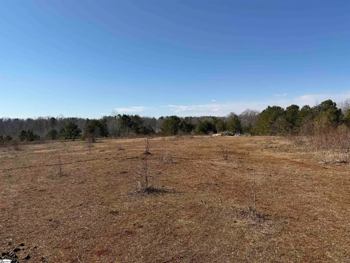 895 Mahaffey Cooley Road, Chesnee, SC 29323 - #1