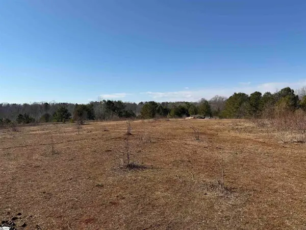 895 Mahaffey Cooley Road, Chesnee, SC 29323