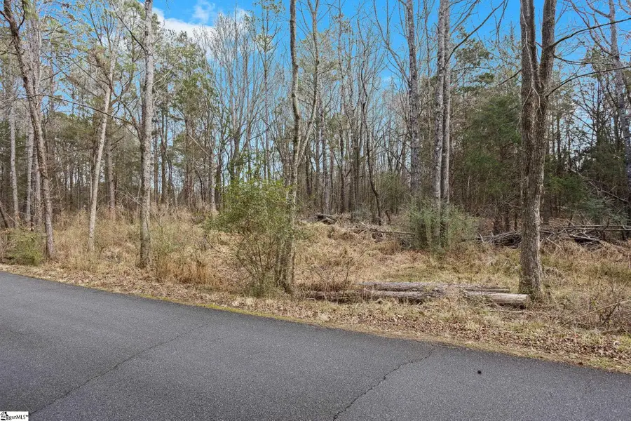 00 Piney Grove School Road, Gray Court, SC 29645 - #3