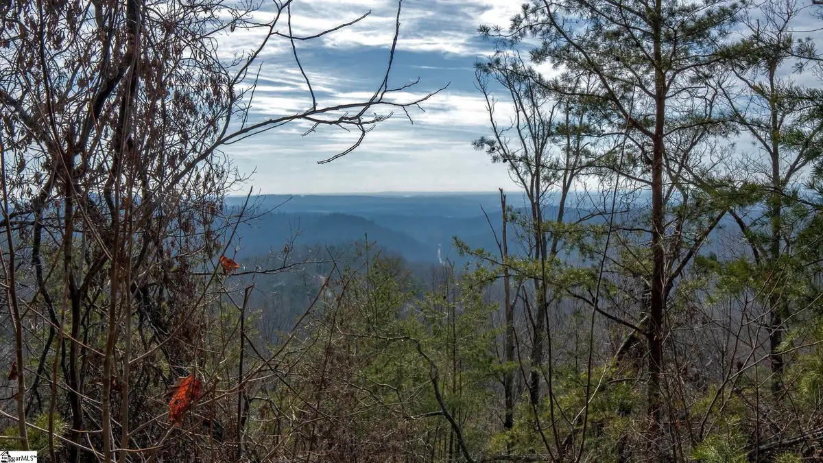 146 Glassy Falls Trail, Travelers Rest, SC 29690 - #1