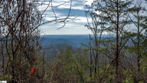 146 Glassy Falls Trail, Travelers Rest, SC 29690