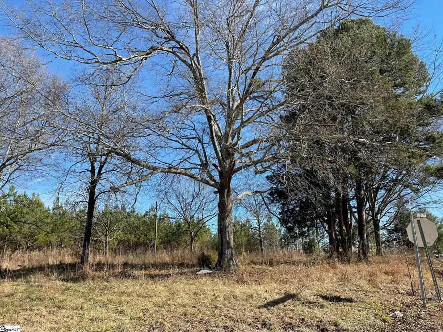 Island Creek Piedmont Road, Chesnee, SC 29323 - #2