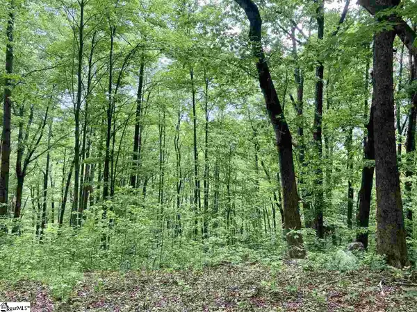 1334 Panther Park Trail, Travelers Rest, SC 29690