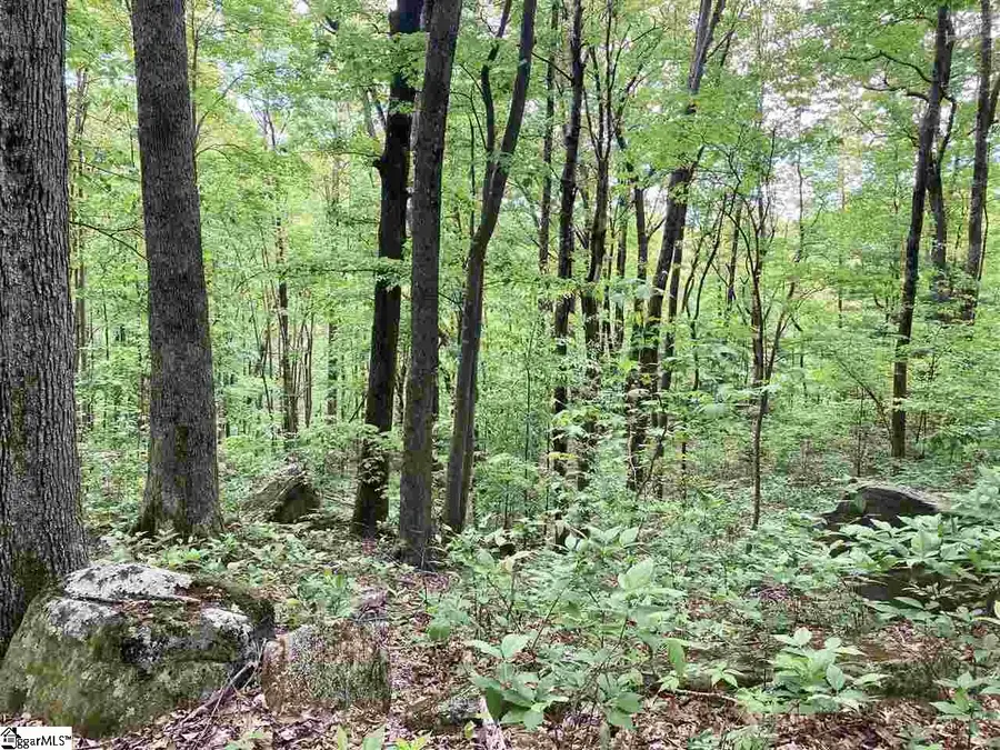 1334 Panther Park Trail, Travelers Rest, SC 29690 - #2