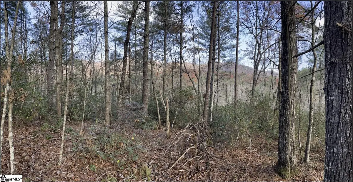 0000 Gap Creek Road #Lot 2, Marietta, SC 29661 - #1