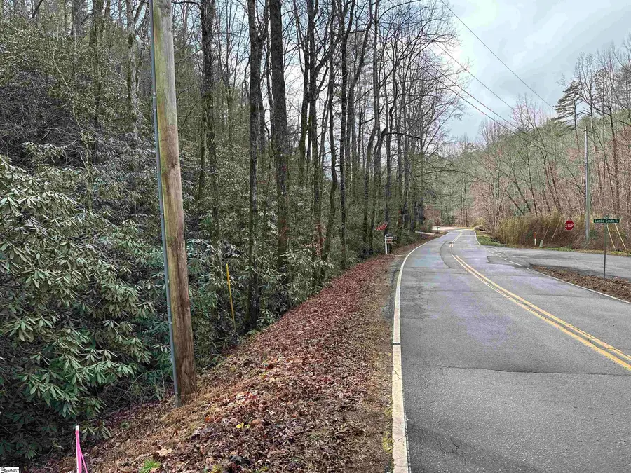 0000 Gap Creek Road #Lot 2, Marietta, SC 29661 - #3