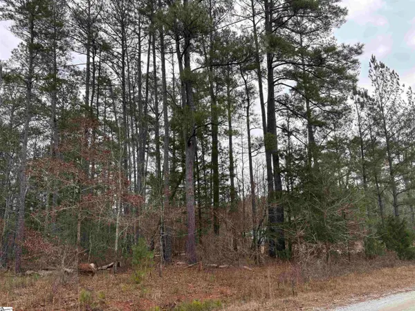Lot 133 River Oaks Drive, Iva, SC 29628