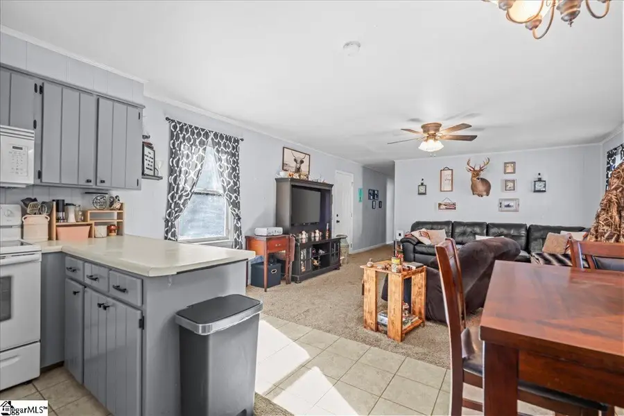 303 Bushy Creek Road, Woodruff, SC 29388 - #2