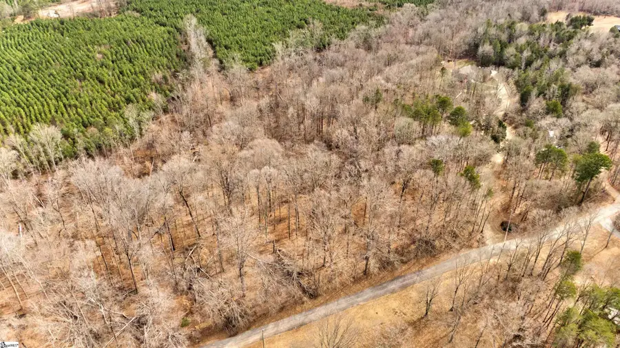 218 Lakeview Circle, Woodruff, SC 29388 - #2