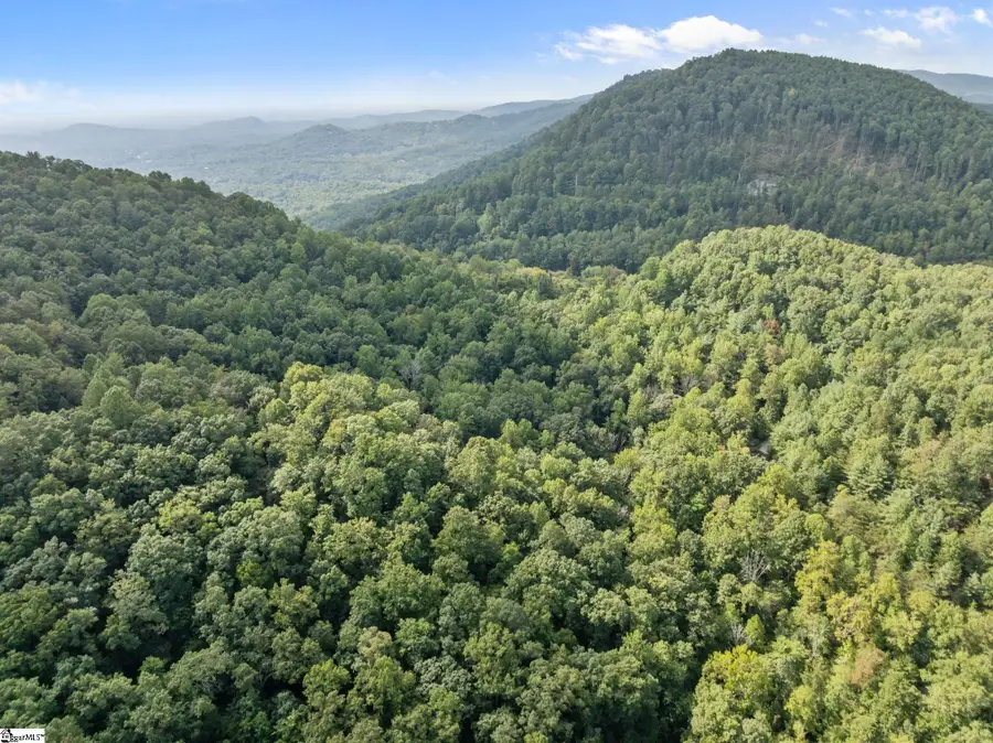 1 Rixhaven Drive, Saluda, NC 28773 - #2