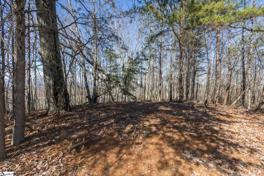 363 Glassy Mountain Church Road, Pickens, SC 29671 - #3