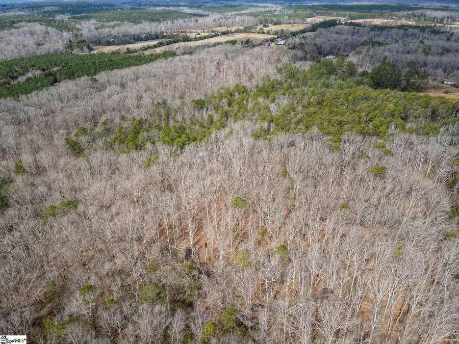 00 Porter Road, Ware Shoals, SC 29692-0000 - #2