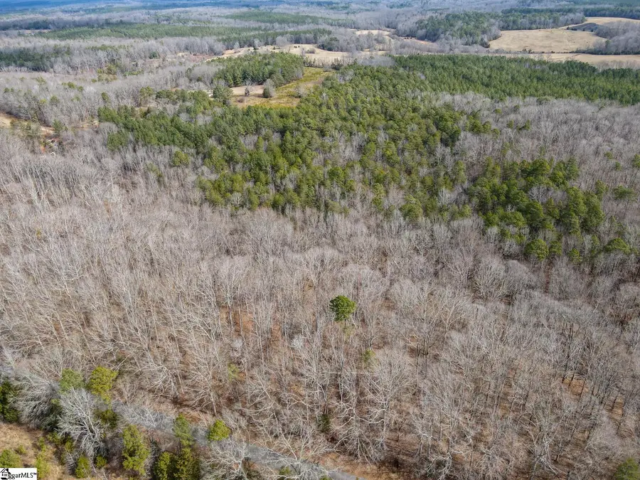 00 Porter Road, Ware Shoals, SC 29692-0000 - #3