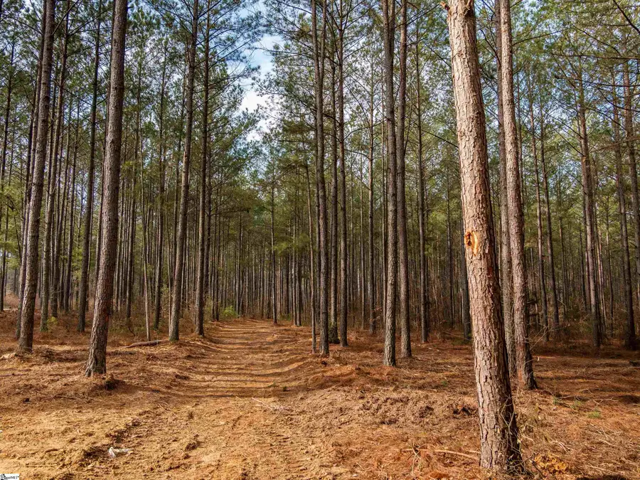 01 Mill Pine Road, Liberty, SC 29657 - #3