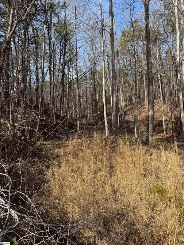 Butter Street, Landrum, SC 29356