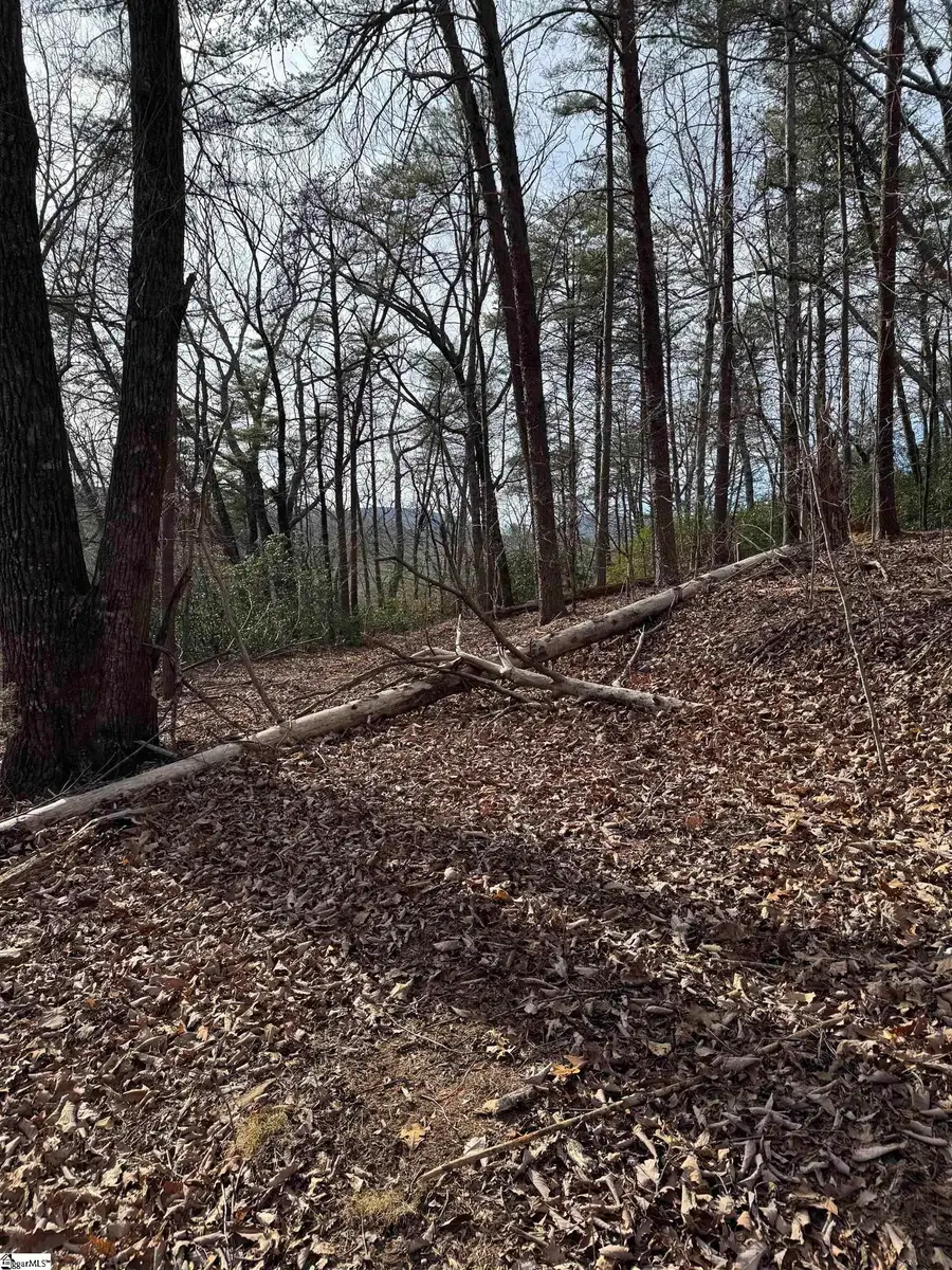 Butter Street, Landrum, SC 29356 - #2