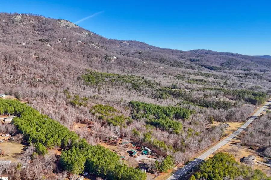 00 Highway 11, Landrum, SC 29356 - #2