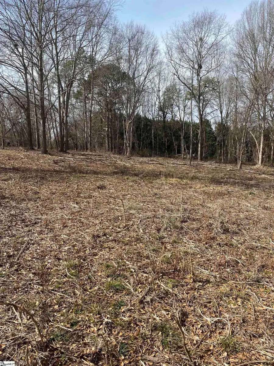 00 Lake Vista Drive, Lyman, SC 29365 - #2