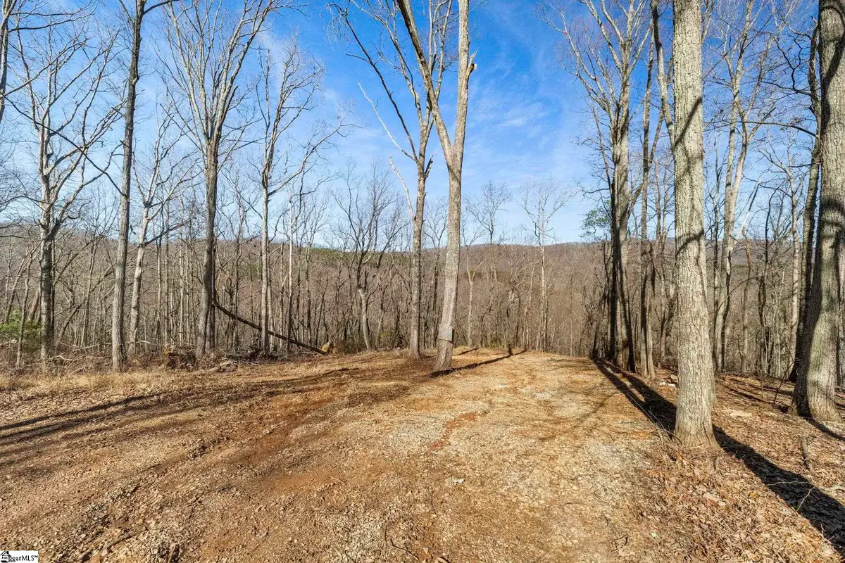 314 Mountain Lake Lane, Travelers Rest, SC 29690 - #1