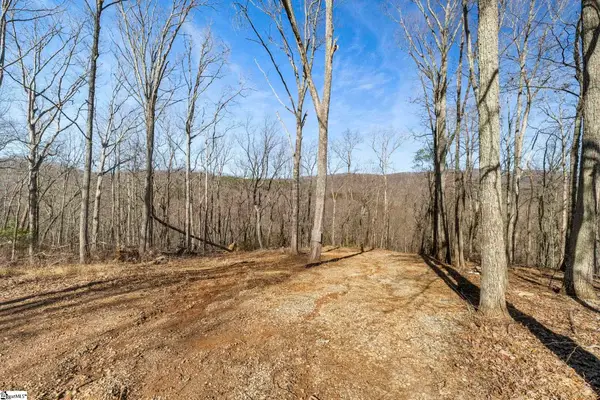 314 Mountain Lake Lane, Travelers Rest, SC 29690