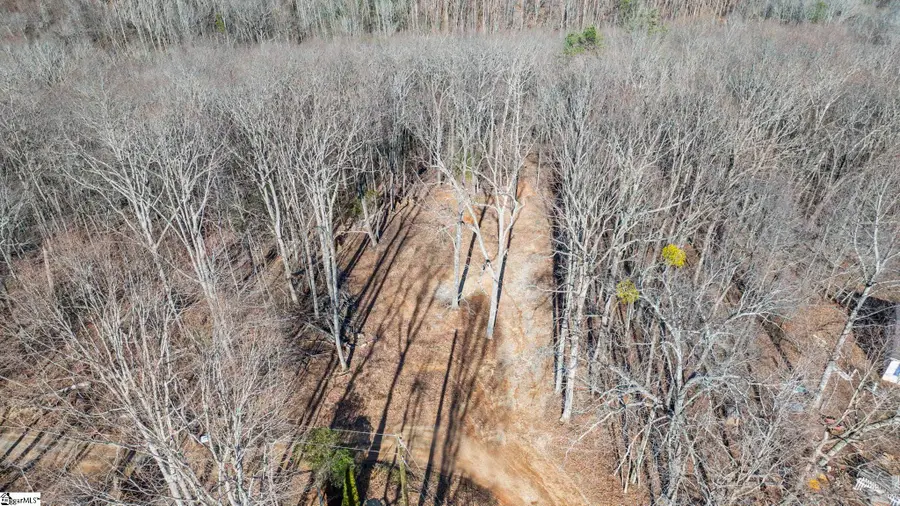 314 Mountain Lake Lane, Travelers Rest, SC 29690 - #2