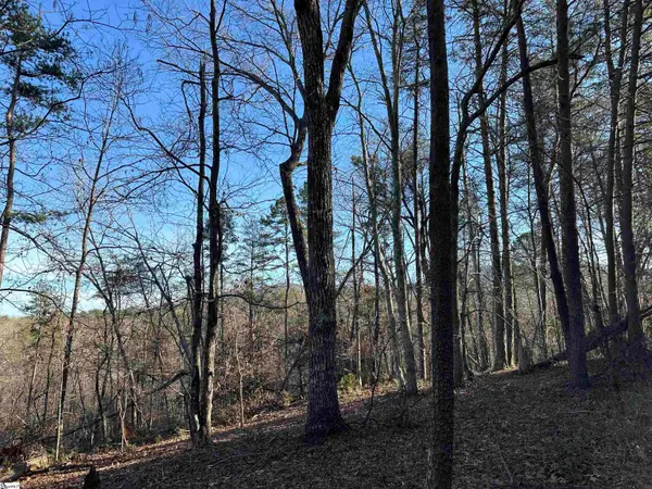 00 Hawkins Lane, Mill Spring, NC 28756