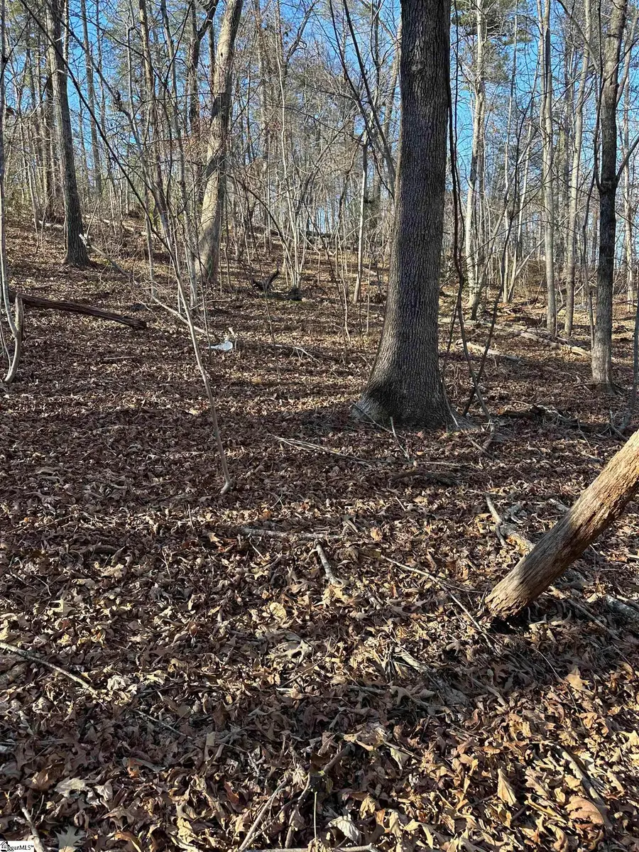 00 Hawkins Lane, Mill Spring, NC 28756 - #2