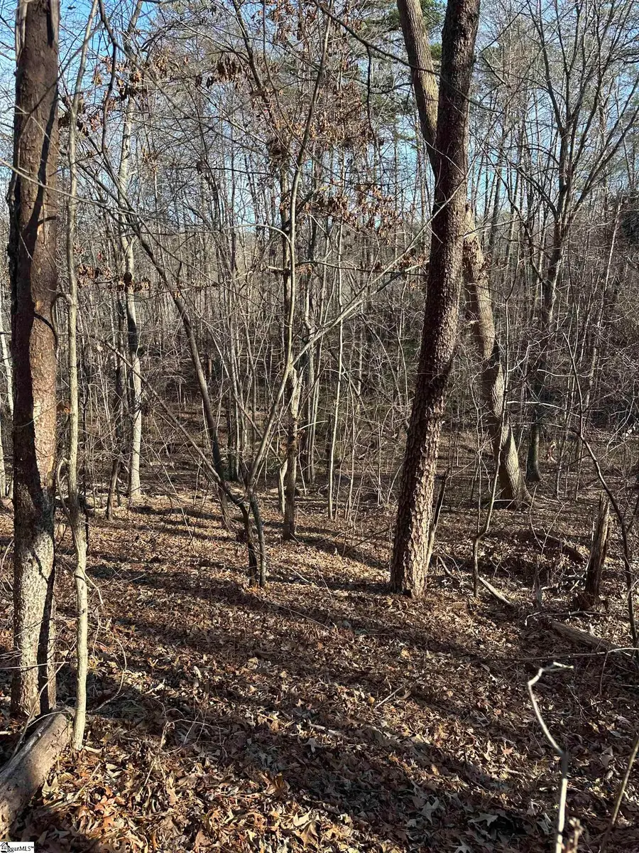 00 Hawkins Lane, Mill Spring, NC 28756 - #3