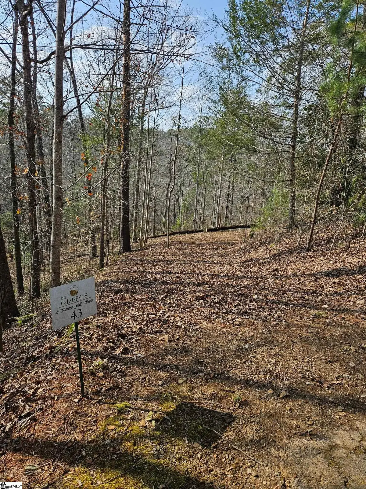 Lot 43 Deerchase Court, Salem, SC 29676 - #1