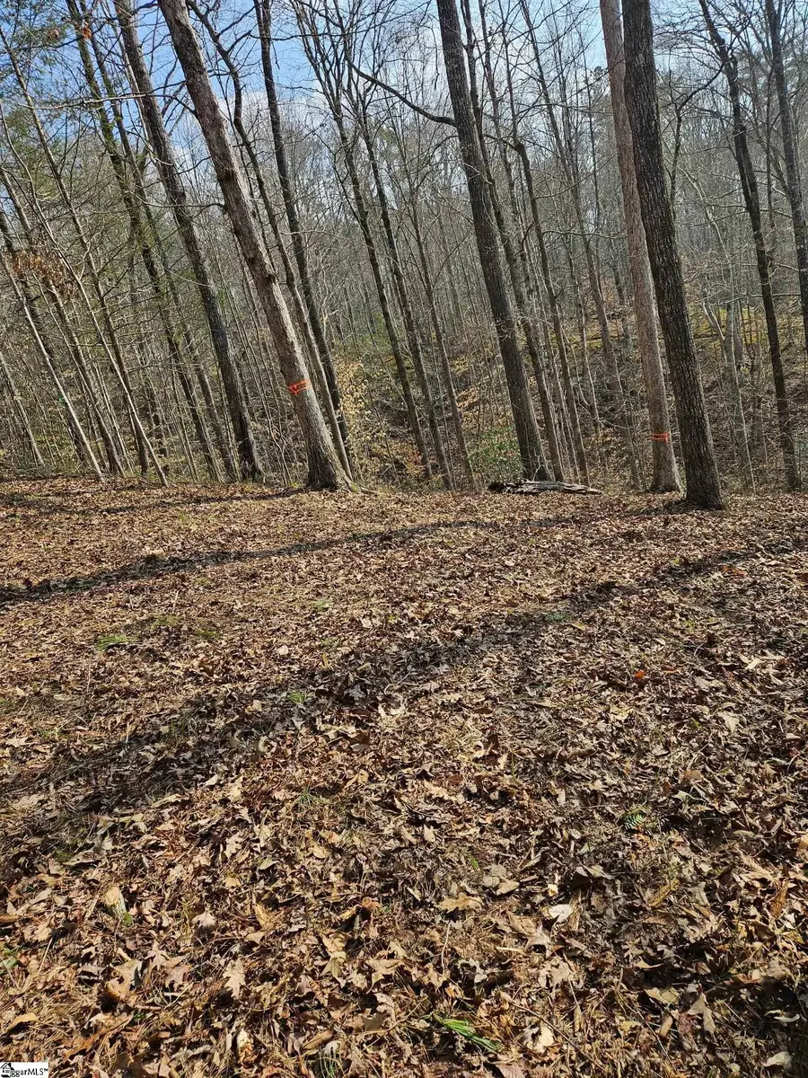 Lot 43 Deerchase Court, Salem, SC 29676 - #3