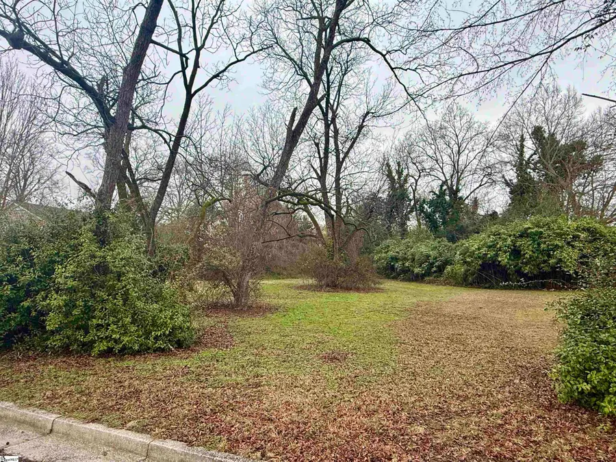 Hickory Street, Clinton, SC 29325 - #2