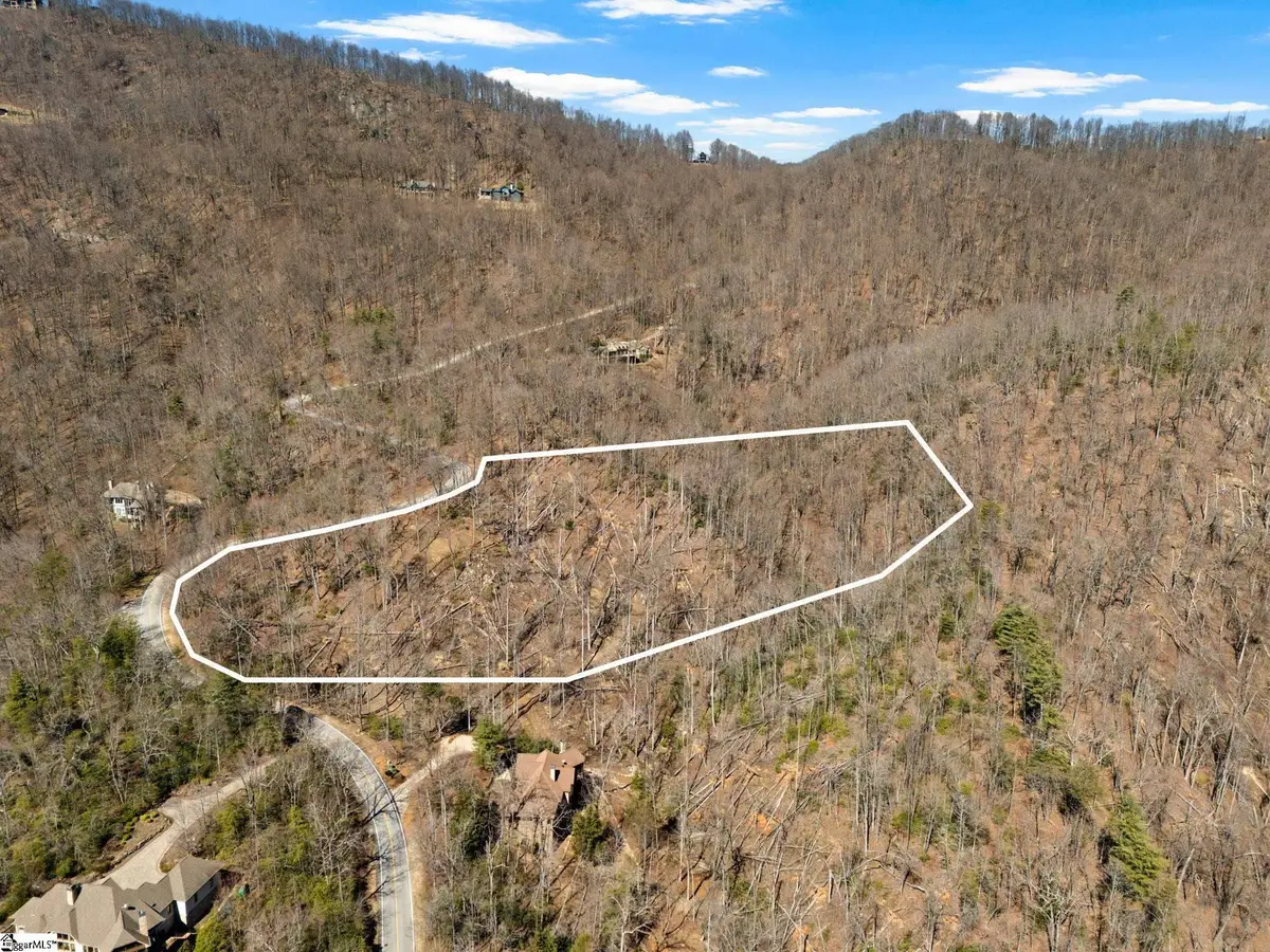 1328 Panther Park Trail, Travelers Rest, SC 29690 - #1