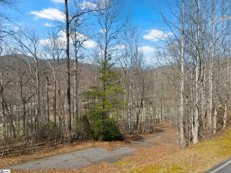 111 Foxboro Road, Travelers Rest, SC 29690 - #2