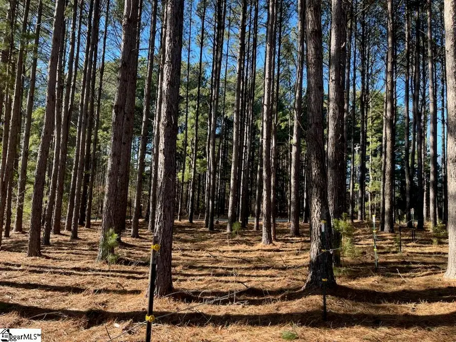 Address Withheld By Seller, Campobello, SC 29322-8023 - #2