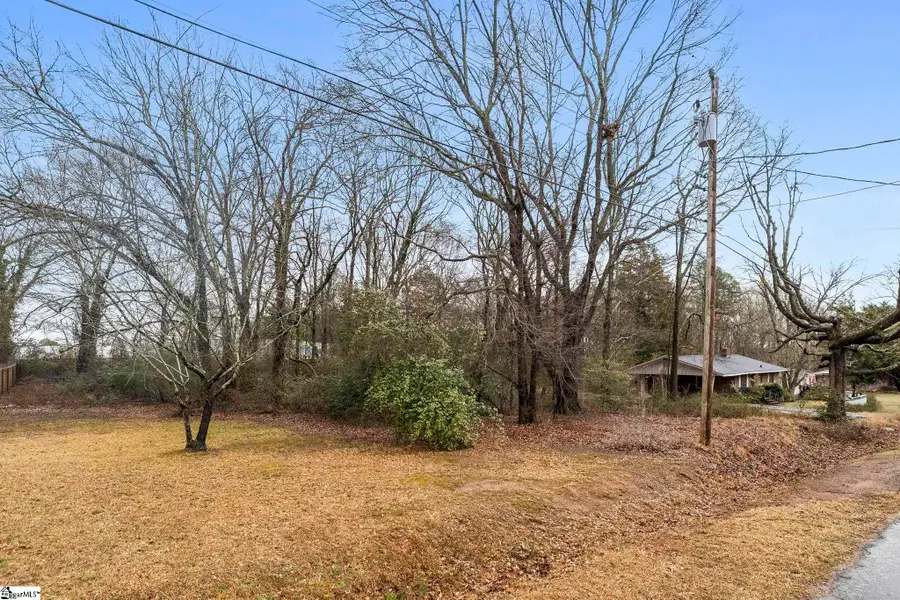 113 Mcneese Drive #Lot 1, Greenville, SC 29605 - #3