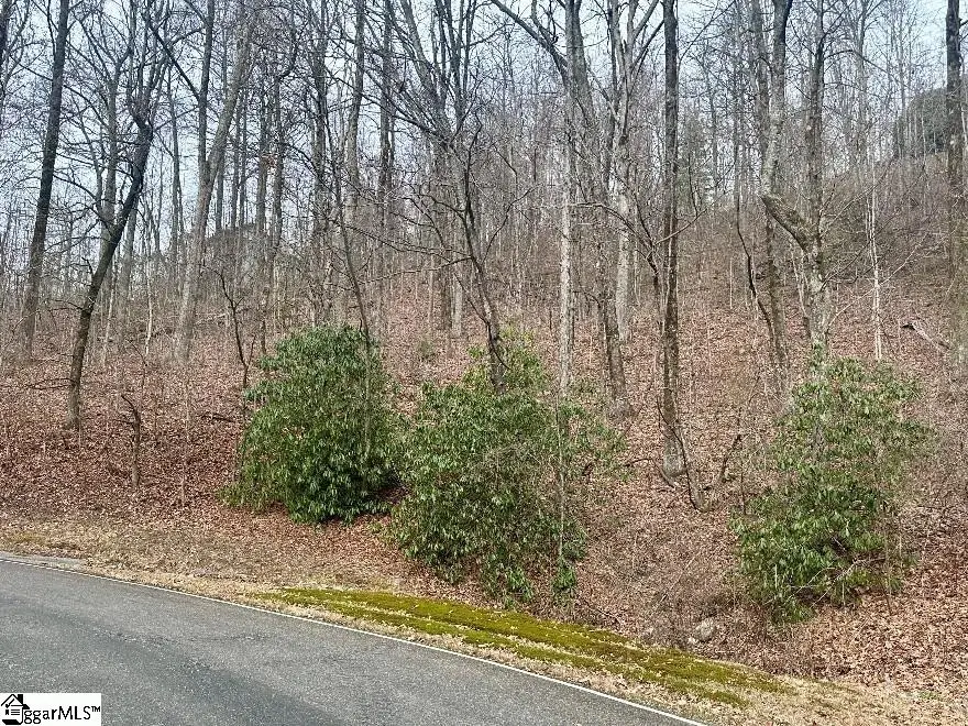 00 Indian Pipe Trail, Landrum, SC 29356-3329 - #1
