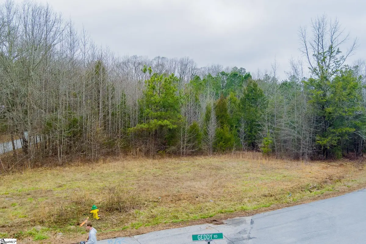 00 Baynes Creek Road, Gray Court, SC 29645 - #1