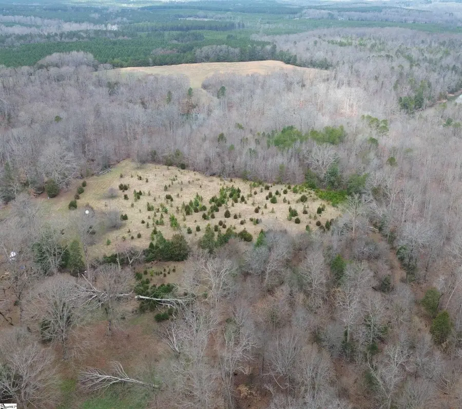 0 Pooletown Road, Laurens, SC 29360 - #2