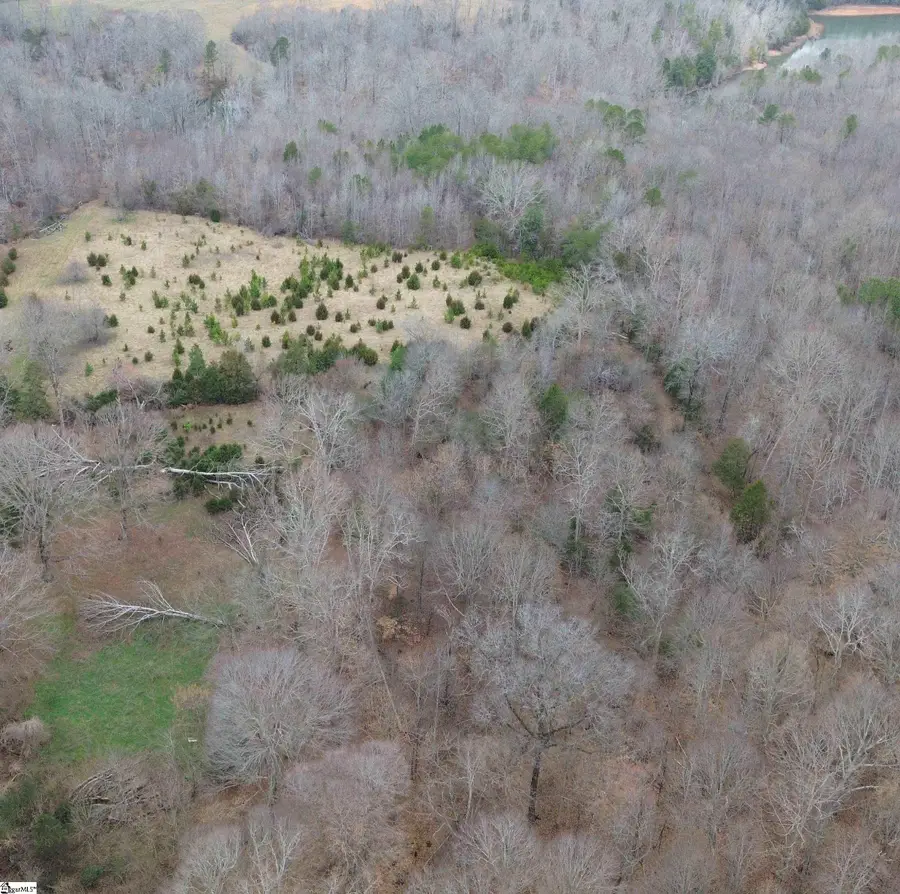 0 Pooletown Road, Laurens, SC 29360 - #3